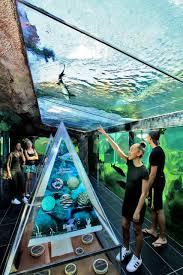 Aquarium du Périgord Noir