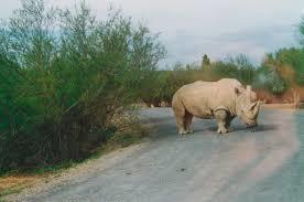 Reserva africana de Sigean