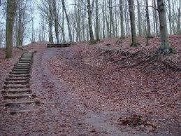 Randers Dyrehave