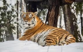 Dierentuin van Ljubljana