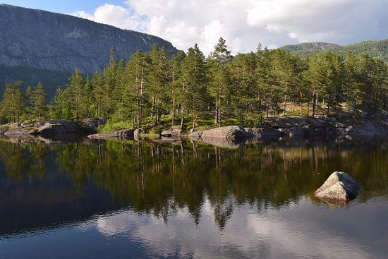 Honnevje
