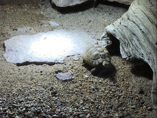 Blekinge Exotiska Värld