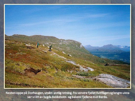 Salangsverket
