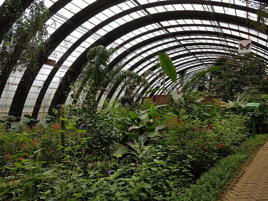 Selvatura Park Monteverde