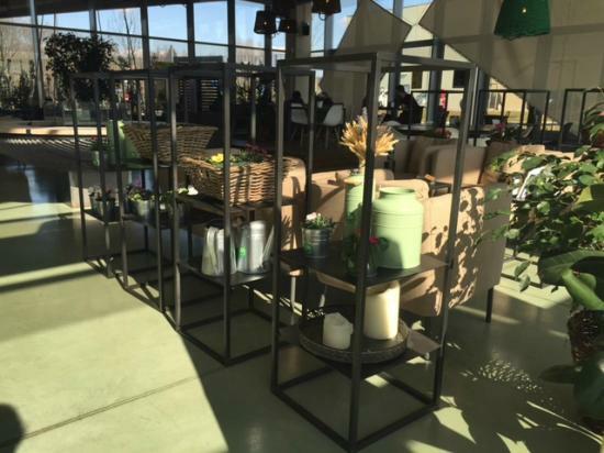 Joy Coffee & Green