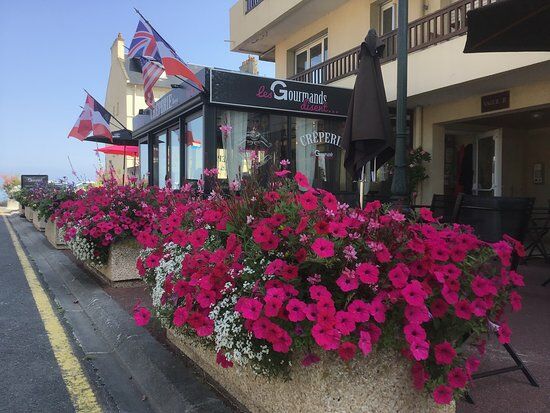 Les Gourmands Disent