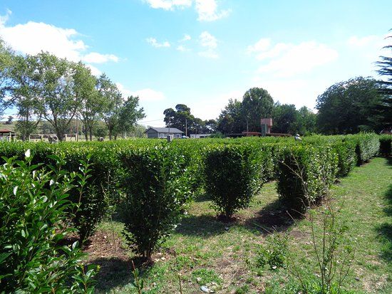 Paseo de los Españoles