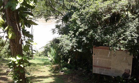 Monumento Científico Moisés Bertoni