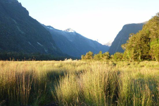 Parque Nacional Hornopirén