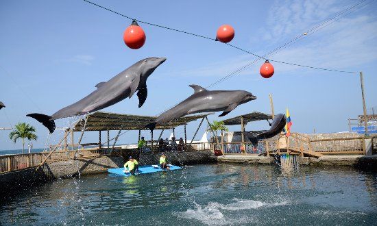 Acuario y Museo Del Mar Del Rodadero