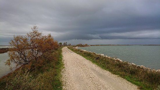 Phare de la Gacholle