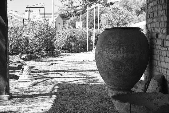 Musée gallo-romain de Tauroentum