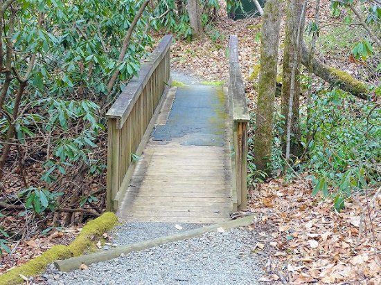Holmes Educational State Forest