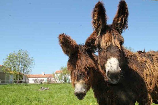 Maison du Maître de Digues