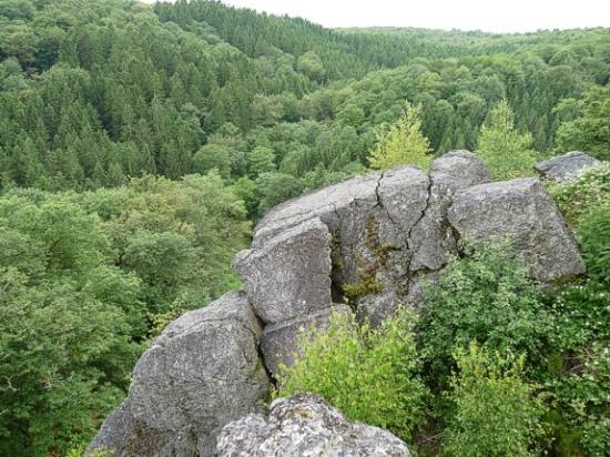 Réserve Naturelle de la Roche à l'Appel
