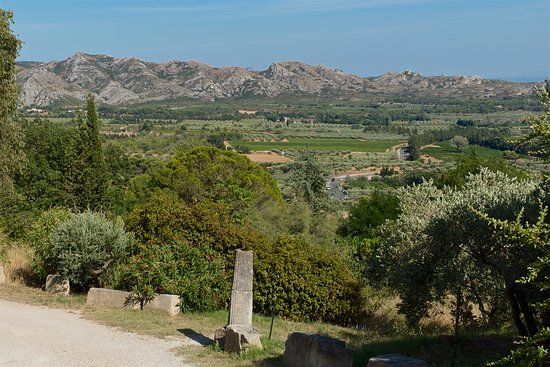 Parc Naturel Regional des Alpilles