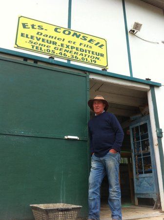 Huîtres Marennes Oléron