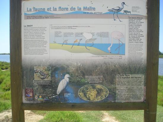 Sentier Pedagogique de Portiragnes