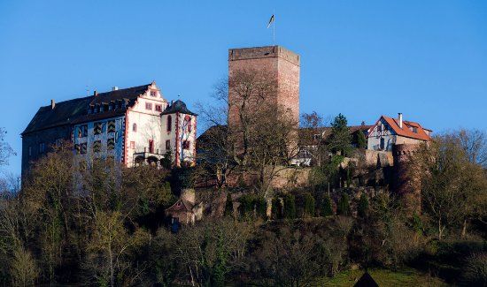 Castle and Castle Park Gamburg