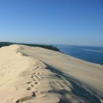 Bar Restaurant Le Pignada