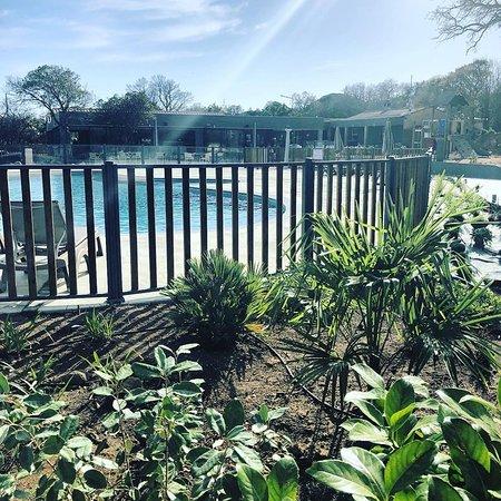 Restaurant le Damier