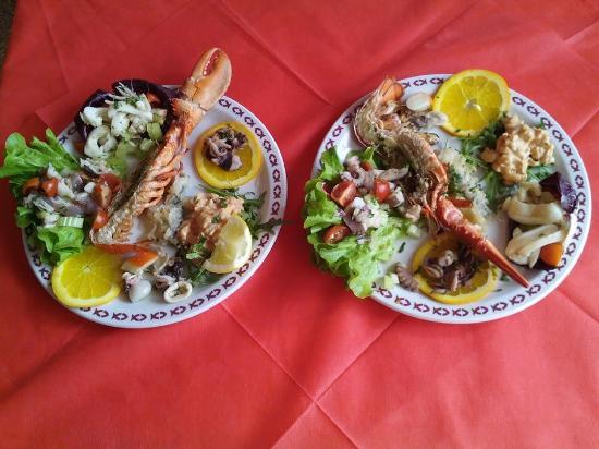 Ristorante Pizzzeria New Oasi