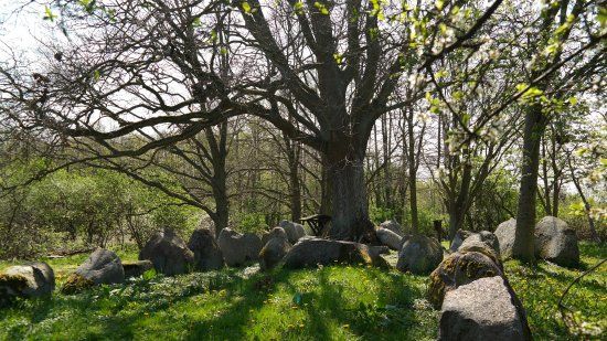 Grosssteingrab Lutow