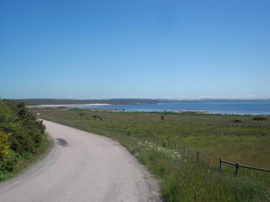 Grimsholmen Nature Reserve