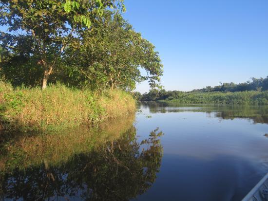 Pantanal Fluminense