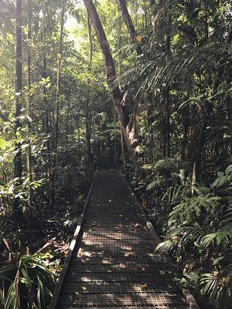 Djiru National Park