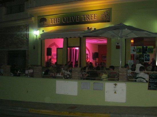 The Olive Tree