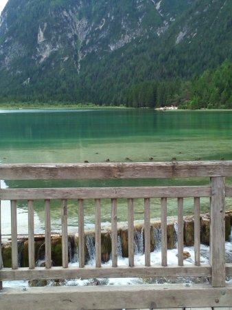 Panzenberger Herbert & Figli S.A.S