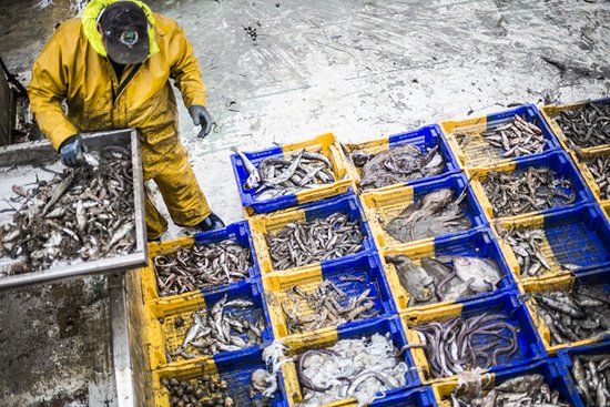 Le Belvédère de la Criée du Grau d'Agde