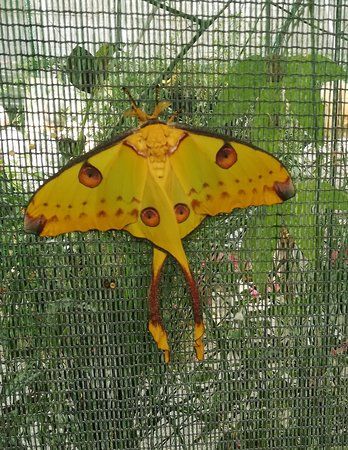 La Ferme aux Papillons