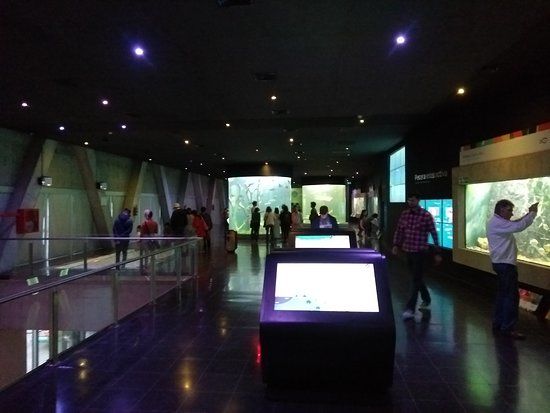 Acuario del Río Paraná