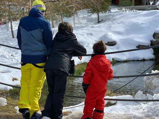 Parque de Actividades Mirlo Blanco