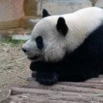 Bar Centro Traffiume