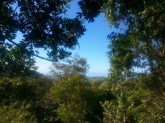 Santuario Ecológico Monteverde
