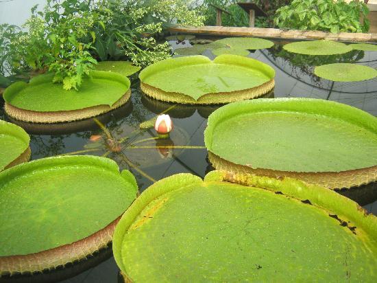 Le Potager Extraordinaire