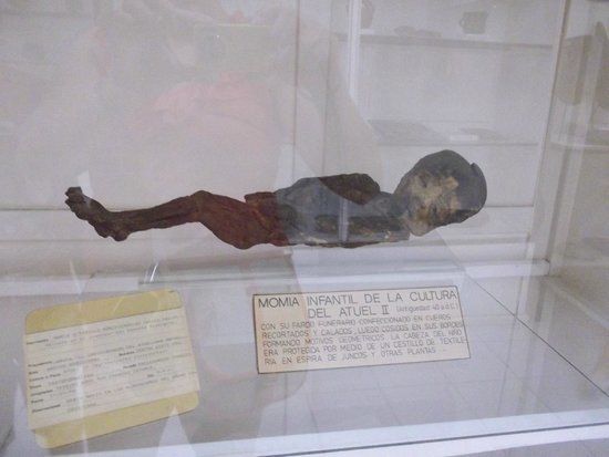 Natural History Museum San Rafael