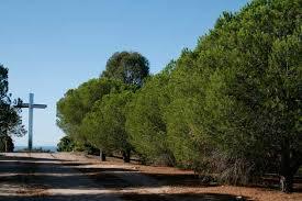 Parc naturel forestier de la Croix des Gardes