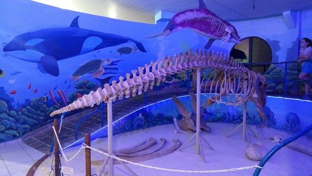 Museo Oceanográfico