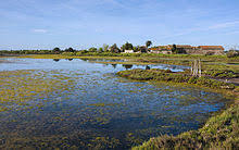 Etang du Bagnas