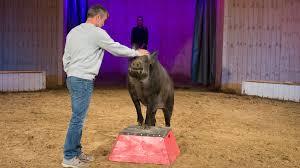 Schumann Cirkus Gaarden