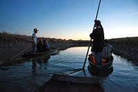 Déambul, balade en yole en calèche