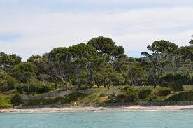 Plage de la Vignasse