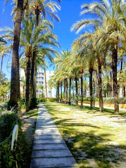 Parc el Palmeral