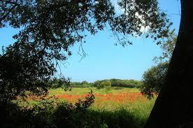 Regionaler Naturpark "Woods and Marshes Rauccio"