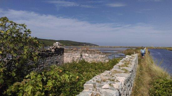 Naturpark Salinen von Sečovlje