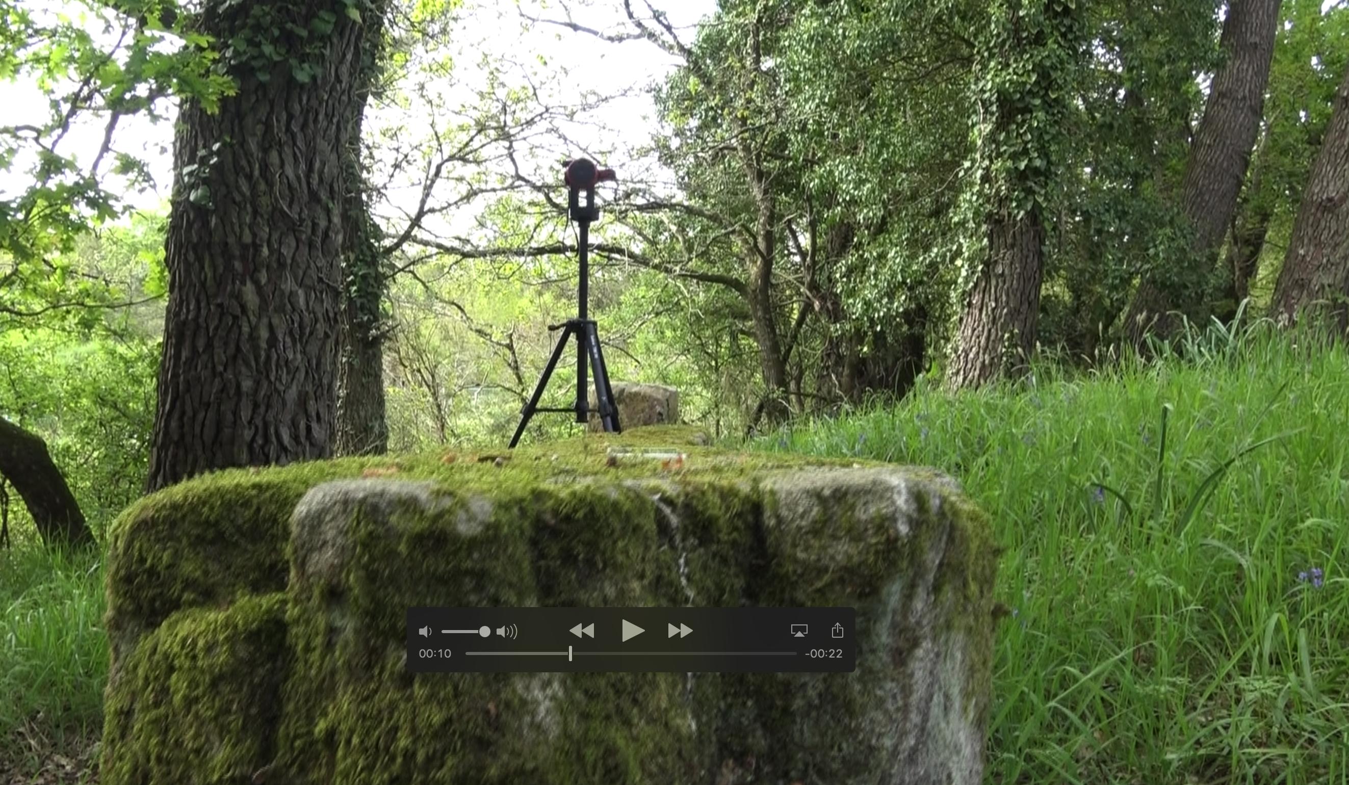 Kerlescan gallery grave
